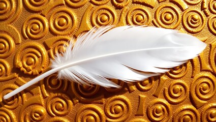 feather on a black background