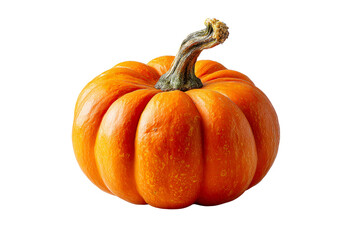 Bright orange pumpkin on a transparent background