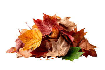Obraz premium Pile of Autumn Leaves with Varying Colors and Textures