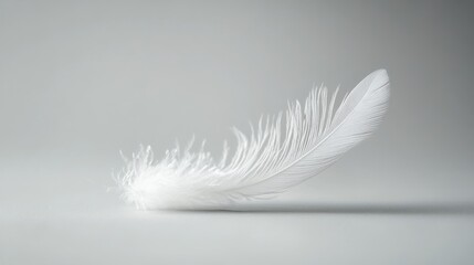 Obraz premium Delicate feather lying on neutral surface in serene studio light