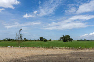 Obraz premium Expansive green fields and a dusty road under bright blue sky, a tranquil rural scene.