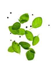 Flying fresh basil leaves and peppercorns on white background