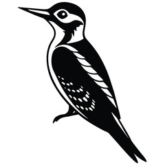 woodpecker vector sihouette
