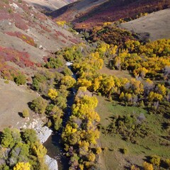 Autumnal valley with a winding river