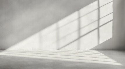 Shadows of Window Panes Cast in Bright Indoor Space