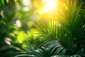 Obraz premium Sunlit Palm Fronds with Bokeh, Evoking Tropical Paradise and Ser