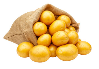 A burlap sack overflowing with fresh yellow potatoes isolated on transparent background


