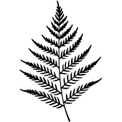 Fern Botanical Line Art Coloring Page