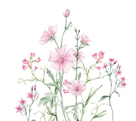Watercolor floral composition Pink meadow flowers illustration - wildflowers bouquet set. Summer Marshmallow and Mouse Pea flowers. Greetings, wallpapers, fashion, wrapping. Hand drawn illustration.