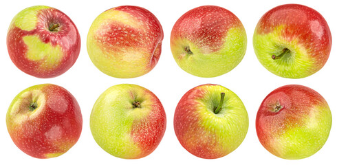 Red and green apple isolated on white background, full depth of field