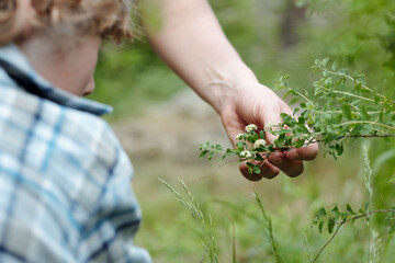 Child observing woman hand gently holding green plant with small flowers outdoors, focusing on interaction with nature and exploration