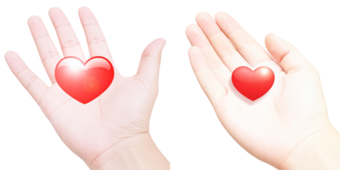 3D Render of Hand Holding Red Heart Transparent Background PNG
