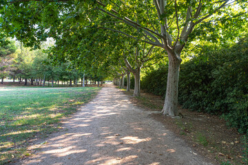 The San Vicente Ferrer spring in the village of Lliria in Valencia, Spain