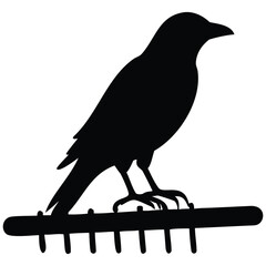 Crow silhouette