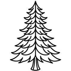 Fototapeta premium Spruce Tree Botanical Coloring Page