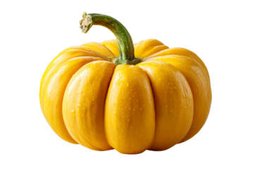 Bright yellow pumpkin on a transparent background