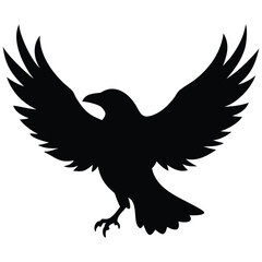 eagle vector illustration