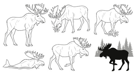 Moose illustrations showcasing wildlife in various poses, perfect for design projects and nature themes