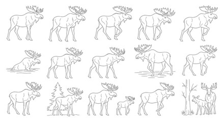 Line art moose illustrations with various poses for wildlife, nature, and outdoor design projects