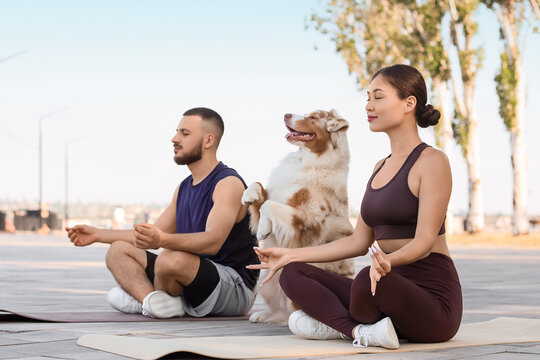 Sporty young couple with Australian Shepherd dog meditating outdoors - Powered by Adobe