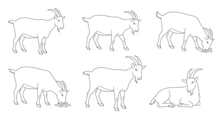 Goat outline set illustration for coloring books, farm animal designs and educational resources for kids