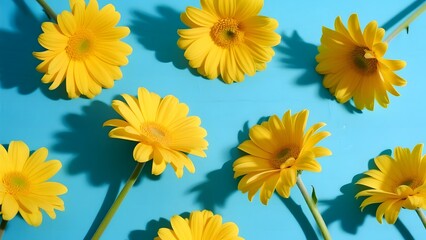 Vibrant Yellow Daisies Arranged on a Bright Blue Background