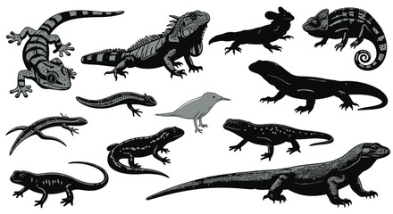 Variety of reptiles and a bird create a vibrant and captivating pattern for nature enthusiasts and animal lovers