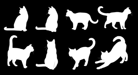 Elegant white cat silhouettes on black background showcase feline grace in various poses for creative projects