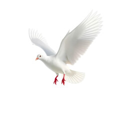 Photo of white pigeon flying isolated on transparent background