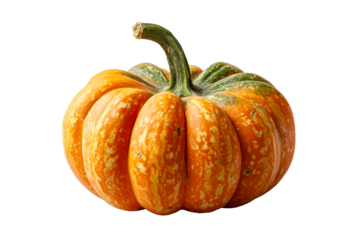 Striped orange pumpkin with curves