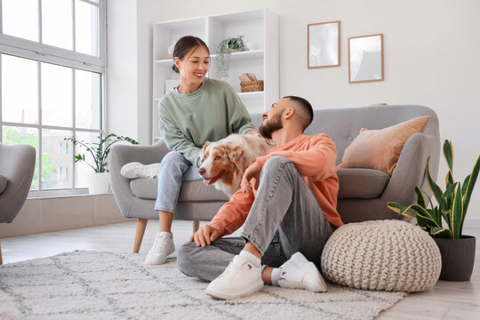 Young couple with Australian Shepherd dog resting at home