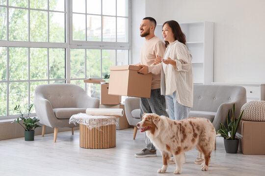 Young couple with Australian Shepherd dog carrying box in room on moving day
