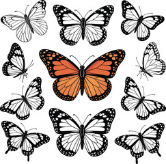 Colorful and monochrome butterfly collection, orange monarch centerpiece, detailed vector insect set, symmetrical wings, vintage butterfly illustration, nature inspired art