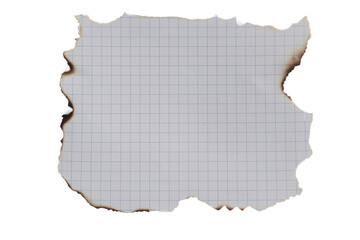 Burnt squared sheet as background for design, educational projects, historical materials and creative illustrations