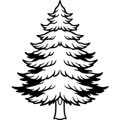 Obraz premium Cedar Tree Line Drawing Coloring Page