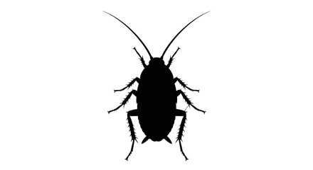 A black silhouette of a cockroach, viewed from above, with antennae and legs clearly visible against a white background.