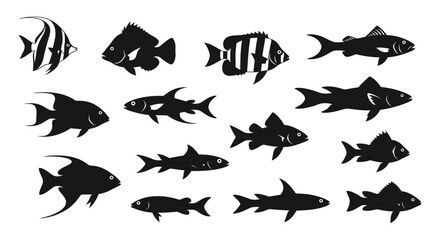 Silhouette illustrations of various fish species.