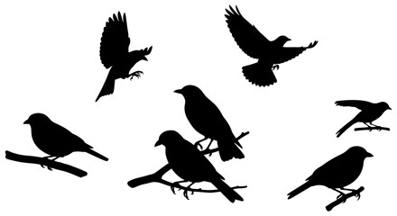 Silhouette illustration of seven birds in various poses, including perched on branches and in flight against a white background.
