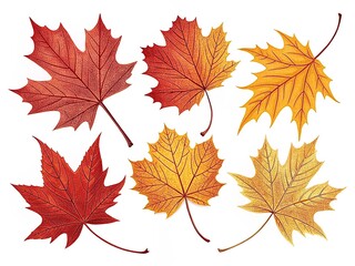Fototapeta premium Vector autumn leaves, design kit