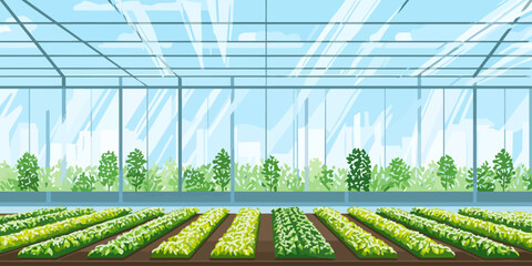 Modern glass greenhouse interior with neat rows of lush green seedlings growing in an urban farm.