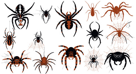 Collection of various spider species, detailed illustrations with webs.