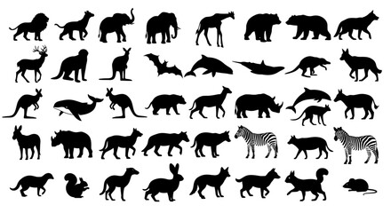 Black silhouettes of various animals, showcasing wildlife diversity in a simple graphic.