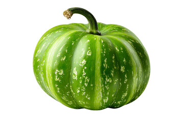 Fresh green striped pumpkin with smooth skin