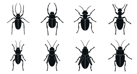 Diverse collection of black beetle silhouettes showcase intricate insect anatomy and varied leg positions