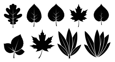 Collection of diverse black leaf silhouettes symbolizing nature and seasons, perfect for design projects
