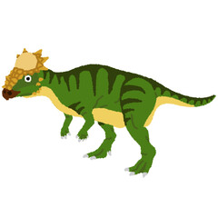 Obraz premium パキケファロサウルスのイラスト