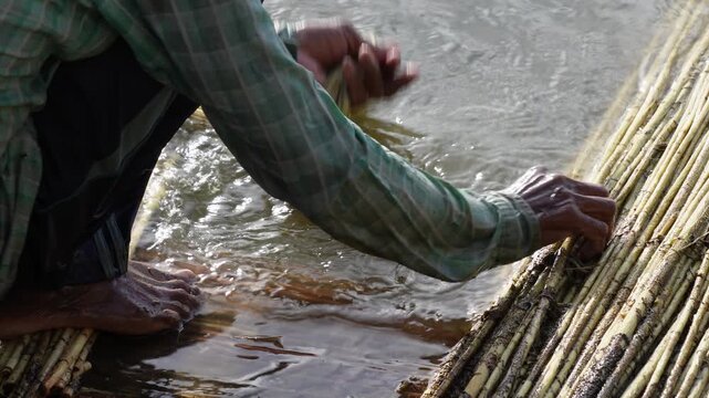 jute harvesting or processing, specifically a person stripping out jute ribbons in a body of water. 