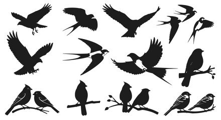 Dynamic vector silhouettes of soaring eagles and graceful songbirds for nature loving brands