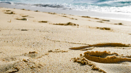 Close-up shot of footprints in the sand leading towards the ocean. The bright sunlight illuminates the texture of the beach