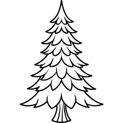 Spruce Tree Botanical Coloring Page